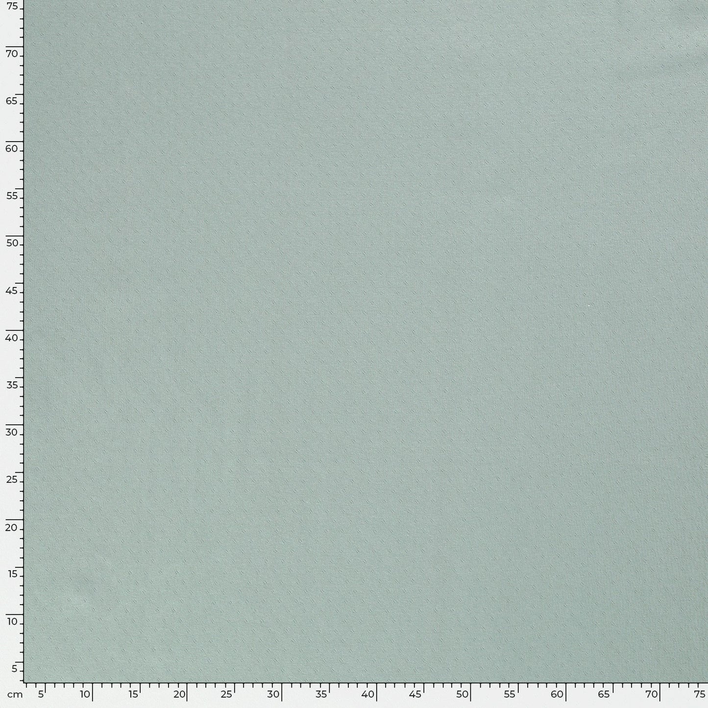 Pointelle Jersey Mint grønn