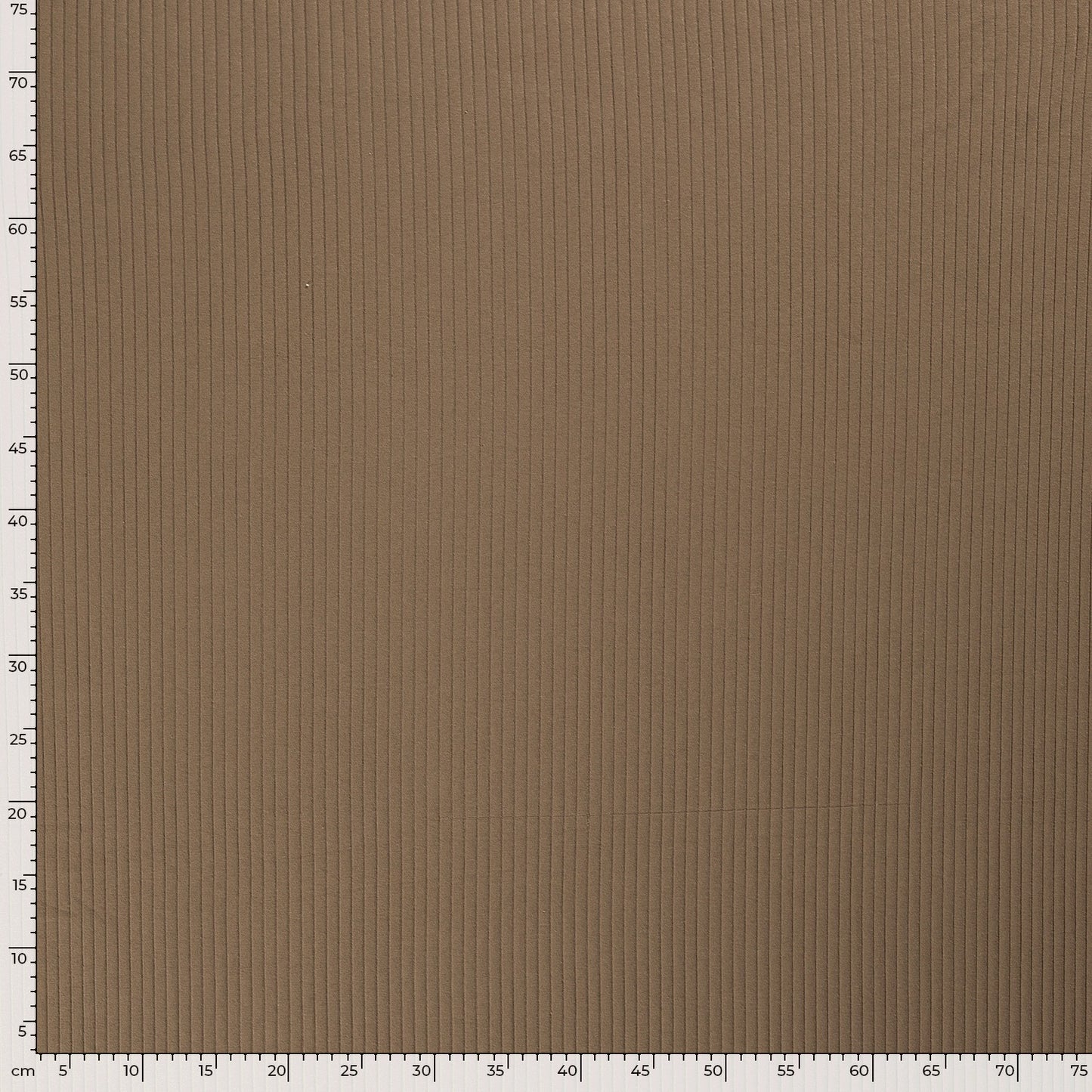 Ribbjersey Brun Taupe